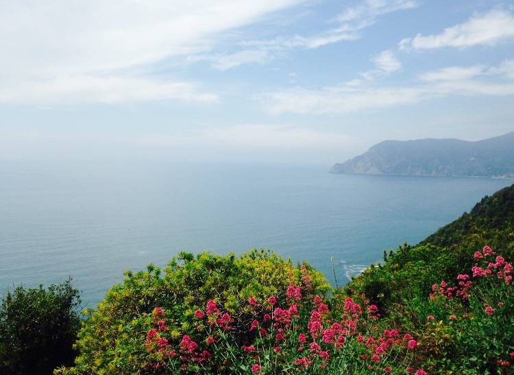 Cinque Terre AP Events Blog 3